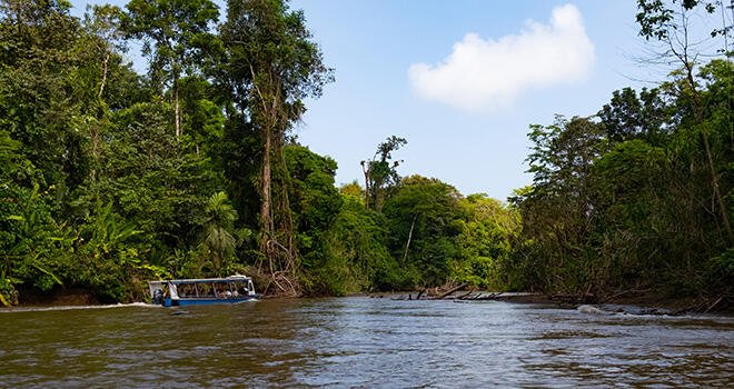 A motorboat explores the Tortuguero National park canals in costa rica